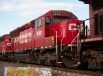 CP 5022